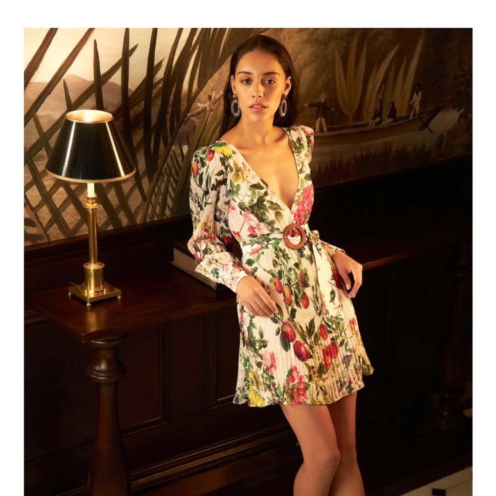 Rococo Sand V-Neck Floral Mini Dress - Pink and Green